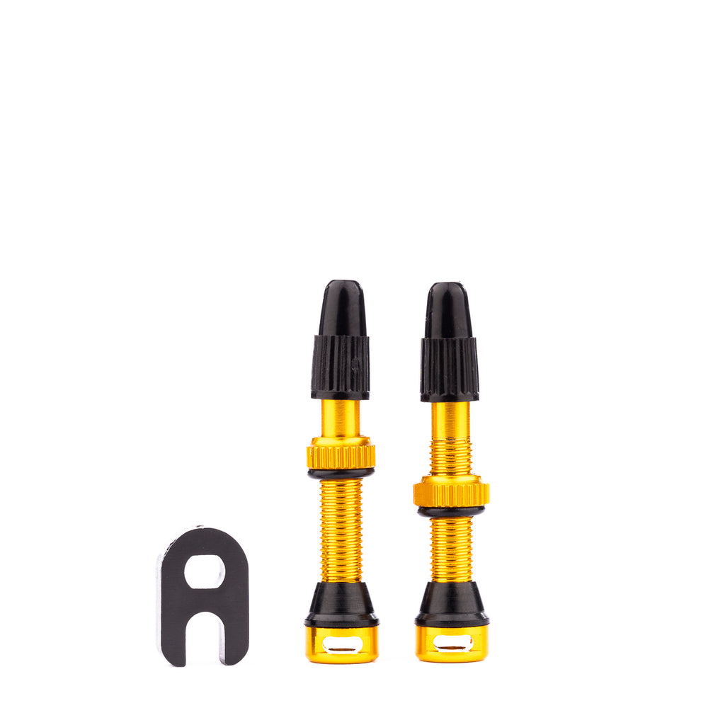 Tubelessventil-Set